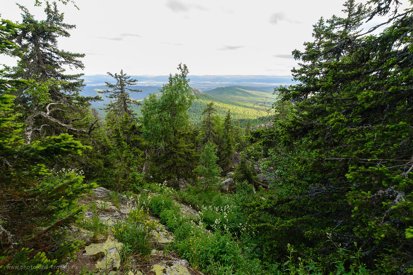 Malinovaya
